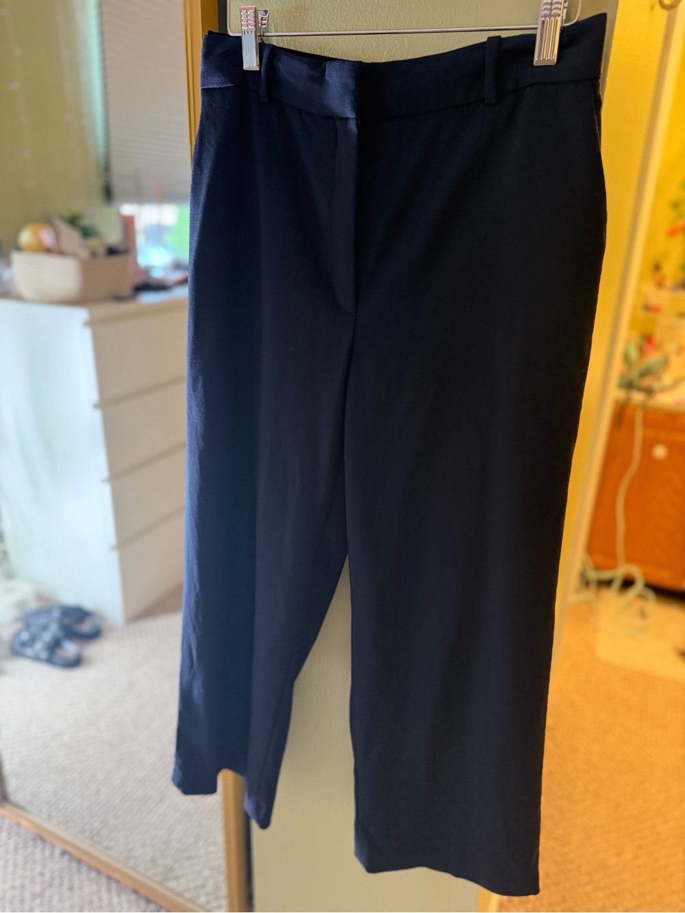 Aritzia trousers